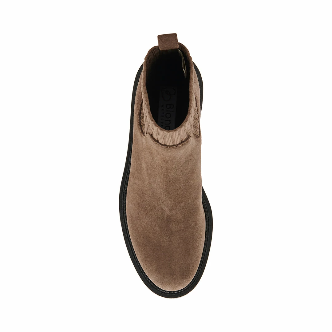 SteveMadden Pre-Order HALLIES TAUPE SUEDE