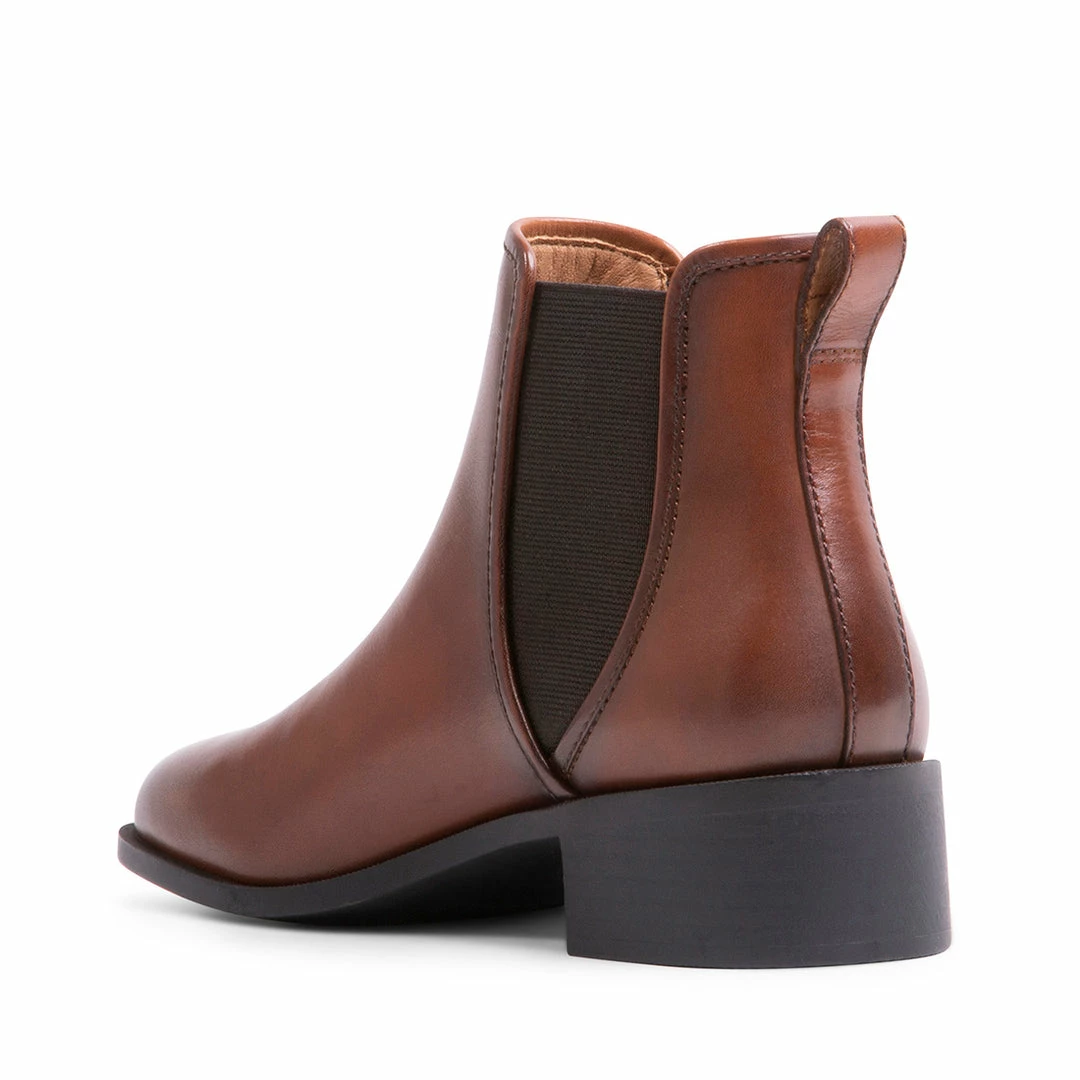 SteveMadden WOMEN'S SHOES DARES BROWN LEATHER