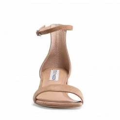 SteveMadden IMINA TAN SUEDE