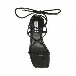 SteveMadden CLAREMONT BLACK All New