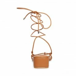 SteveMadden All New CLAREMONT BROWN